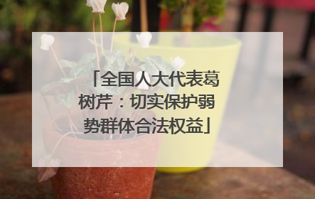 全国人大代表葛树芹：切实保护弱势群体合法权益