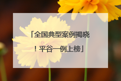 全国典型案例揭晓！平谷一例上榜