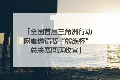 全国首届三角洲行动网咖邀请赛“熊族杯”总决赛圆满收官