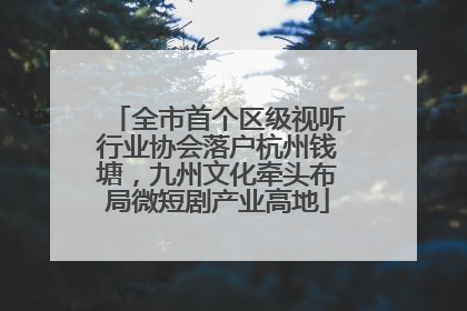 全市首个区级视听行业协会落户杭州钱塘，九州文化牵头布局微短剧产业高地