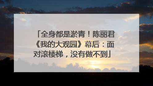 全身都是淤青！陈丽君《我的大观园》幕后：面对滚楼梯，没有做不到