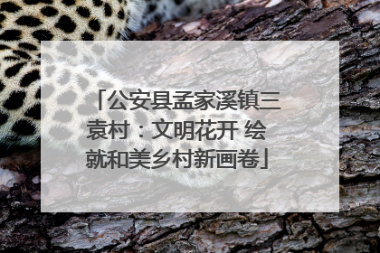 公安县孟家溪镇三袁村：文明花开 绘就和美乡村新画卷