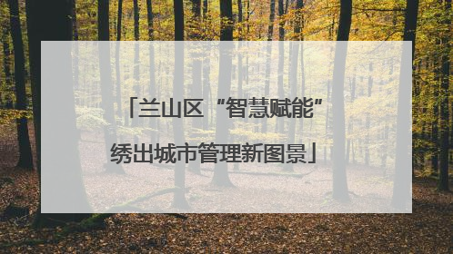 兰山区“智慧赋能”绣出城市管理新图景