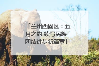 兰州西固区：五月之约 续写民族团结进步新篇章