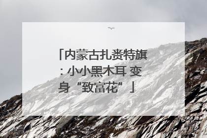 内蒙古扎赉特旗：小小黑木耳 变身“致富花”