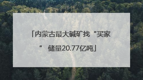 内蒙古最大碱矿找“买家” 储量20.77亿吨
