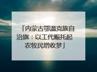 内蒙古鄂温克族自治旗：以工代赈托起农牧民增收梦