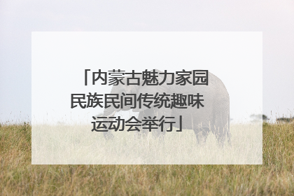 内蒙古魅力家园民族民间传统趣味运动会举行