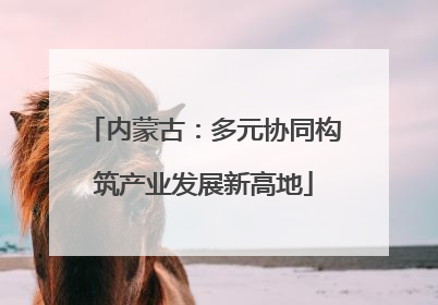 内蒙古：多元协同构筑产业发展新高地