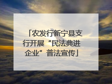 农发行新宁县支行开展“民法典进企业”普法宣传