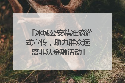 冰城公安精准滴灌式宣传，助力群众远离非法金融活动