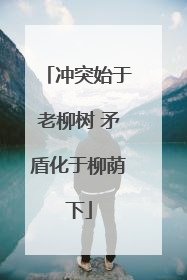 冲突始于老柳树 矛盾化于柳荫下