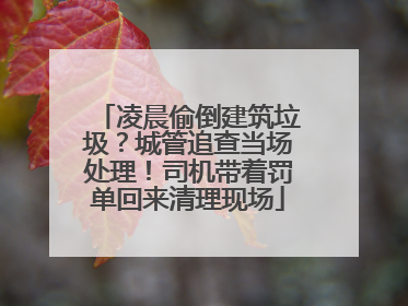 凌晨偷倒建筑垃圾？城管追查当场处理！司机带着罚单回来清理现场