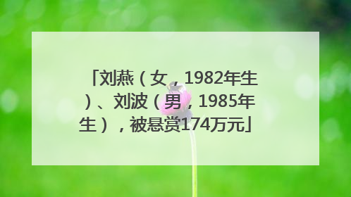 刘燕（女，1982年生）、刘波（男，1985年生），被悬赏174万元