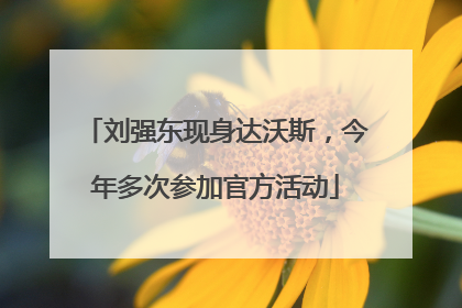 刘强东现身达沃斯，今年多次参加官方活动