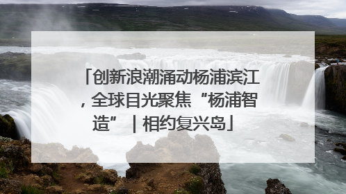创新浪潮涌动杨浦滨江，全球目光聚焦“杨浦智造”｜相约复兴岛