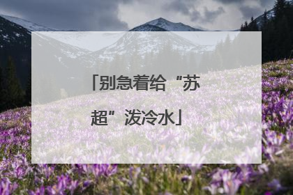 别急着给“苏超”泼冷水