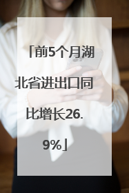 前5个月湖北省进出口同比增长26.9%