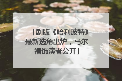 剧版《哈利波特》最新选角出炉，马尔福饰演者公开