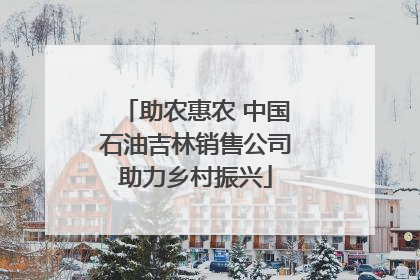 助农惠农 中国石油吉林销售公司助力乡村振兴