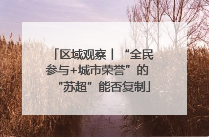 区域观察丨“全民参与+城市荣誉”的“苏超”能否复制