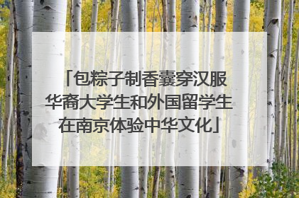 包粽子制香囊穿汉服 华裔大学生和外国留学生在南京体验中华文化