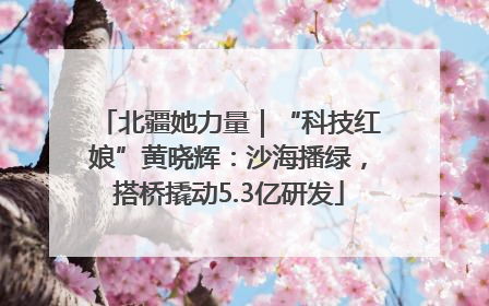 北疆她力量｜“科技红娘”黄晓辉：沙海播绿，搭桥撬动5.3亿研发