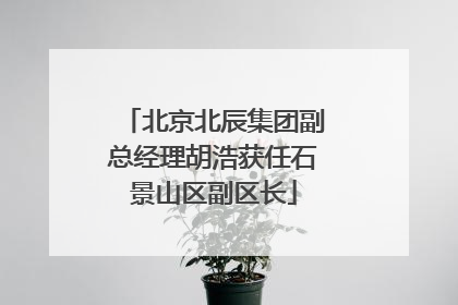 北京北辰集团副总经理胡浩获任石景山区副区长