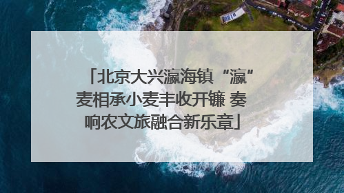 北京大兴瀛海镇“瀛”麦相承小麦丰收开镰 奏响农文旅融合新乐章