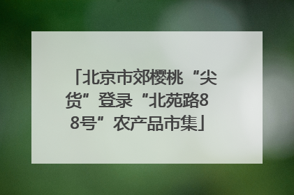 北京市郊樱桃“尖货”登录“北苑路88号”农产品市集