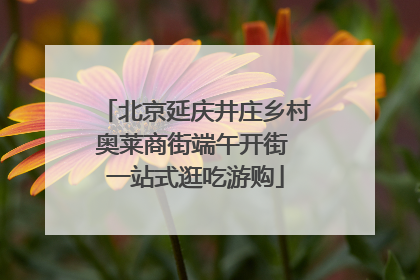 北京延庆井庄乡村奥莱商街端午开街 一站式逛吃游购