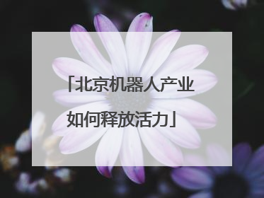 北京机器人产业如何释放活力