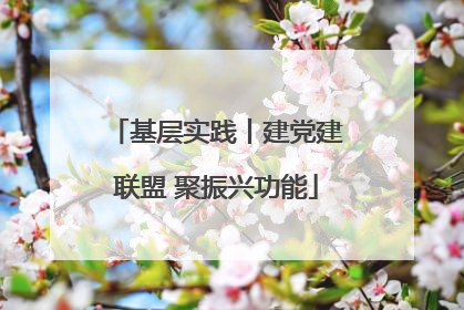 基层实践丨建党建联盟 聚振兴功能