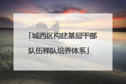 城西区构建基层干部队伍梯队培养体系