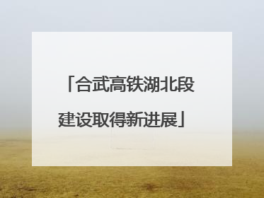 合武高铁湖北段建设取得新进展
