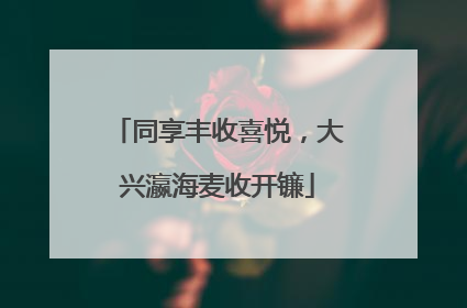 同享丰收喜悦，大兴瀛海麦收开镰