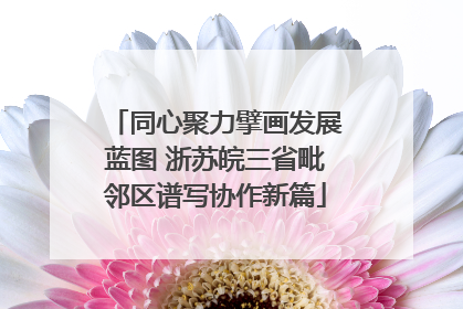 同心聚力擘画发展蓝图 浙苏皖三省毗邻区谱写协作新篇