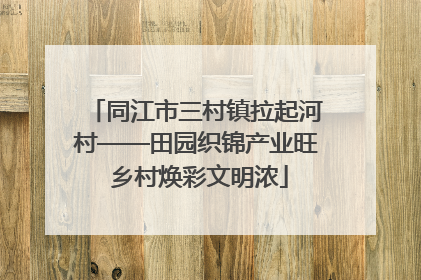同江市三村镇拉起河村——田园织锦产业旺 乡村焕彩文明浓