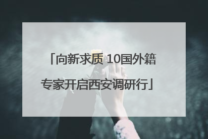 向新求质 10国外籍专家开启西安调研行
