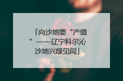 向沙地要“产值”——辽宁科尔沁沙地兴绿见闻