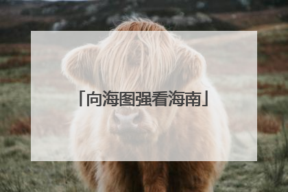 向海图强看海南