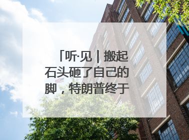 听·见｜搬起石头砸了自己的脚，特朗普终于“慌”了！