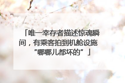 唯一幸存者描述惊魂瞬间，有乘客拍到机舱设施“哪哪儿都坏的”