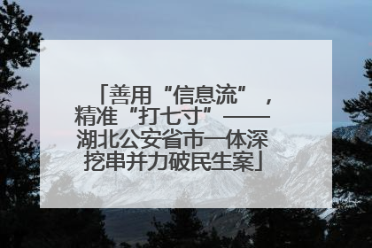善用“信息流”，精准“打七寸”——湖北公安省市一体深挖串并力破民生案
