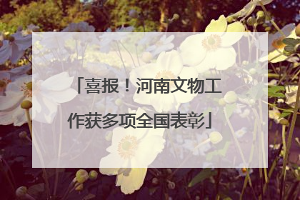 喜报！河南文物工作获多项全国表彰