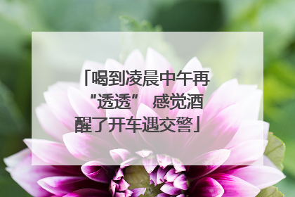 喝到凌晨中午再“透透” 感觉酒醒了开车遇交警