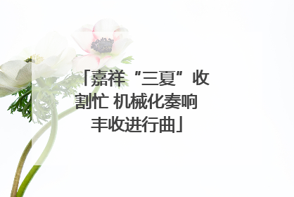 嘉祥“三夏”收割忙 机械化奏响丰收进行曲