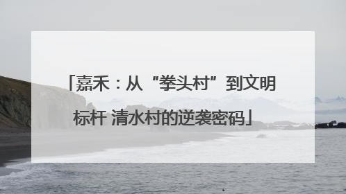 嘉禾：从“拳头村”到文明标杆 清水村的逆袭密码