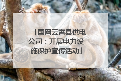 国网云霄县供电公司：开展电力设施保护宣传活动