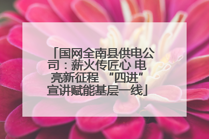 国网全南县供电公司：薪火传匠心 电亮新征程 “四进”宣讲赋能基层一线